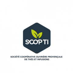 Logo SCOP-TI.png